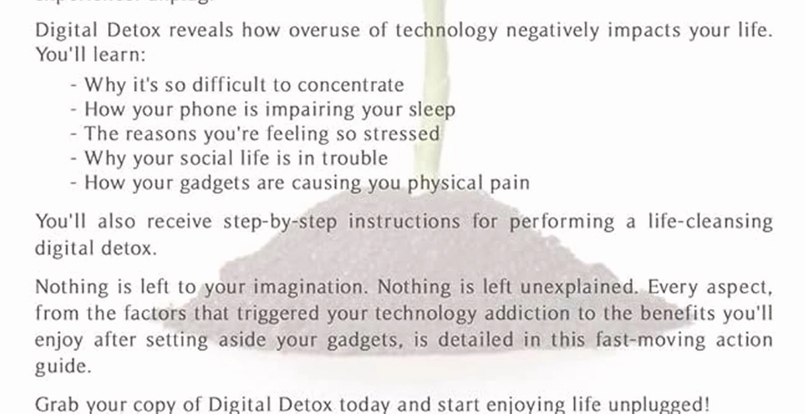 Digital detox productivity workshop
